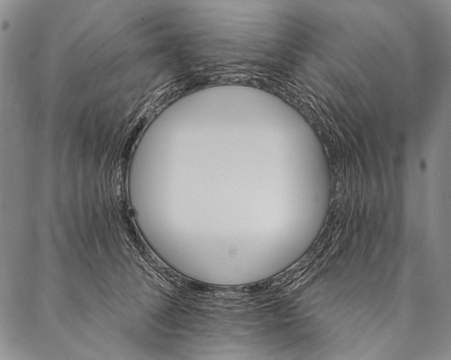 X0000087040708200705091111