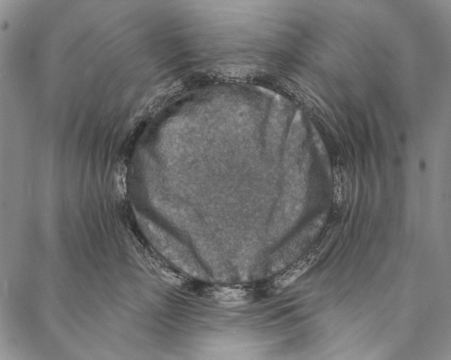 X0000087040718200705091111