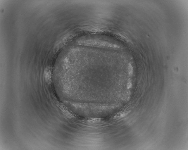 X0000087040720200705091111
