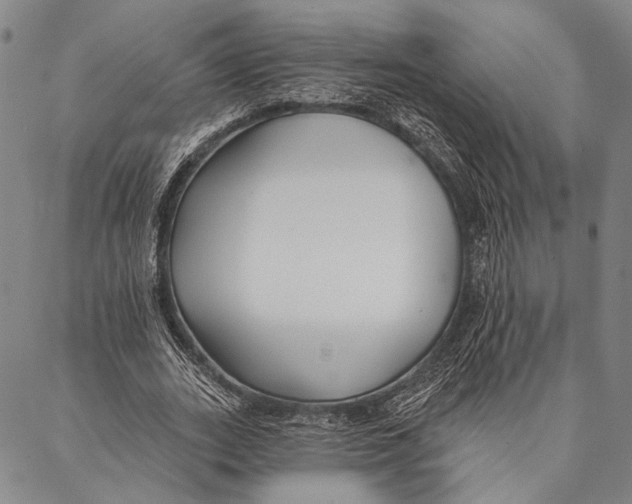 X0000087040727200705091110