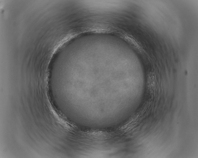 X0000087040730200705091110