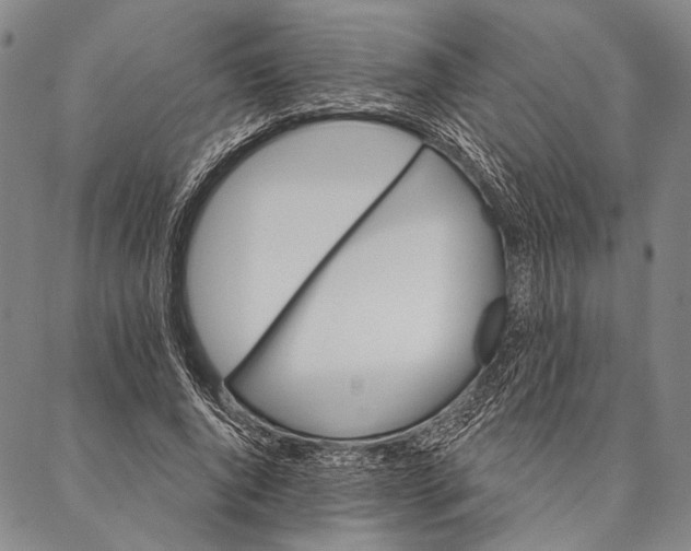 X0000087040736200705091110