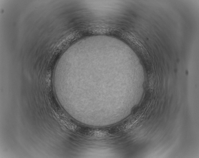 X0000087040737200705091110