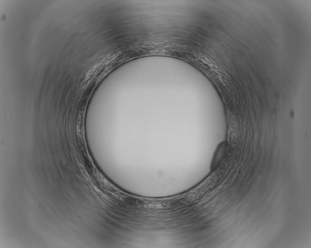 X0000087040740200705091110
