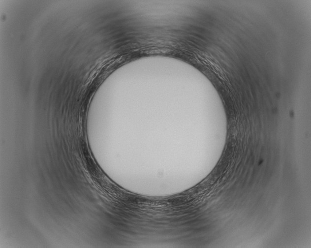X0000087040743200705091110