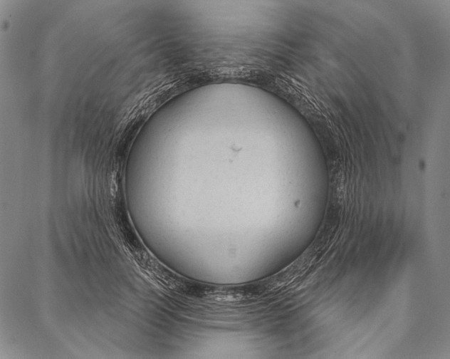 X0000087040746200705091110