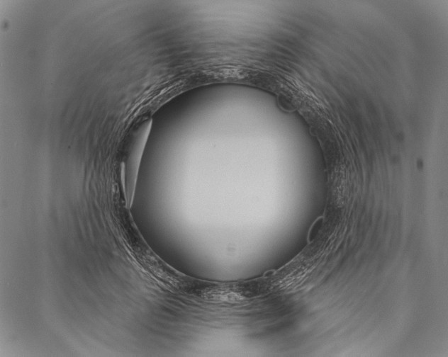 X0000087040747200705091110