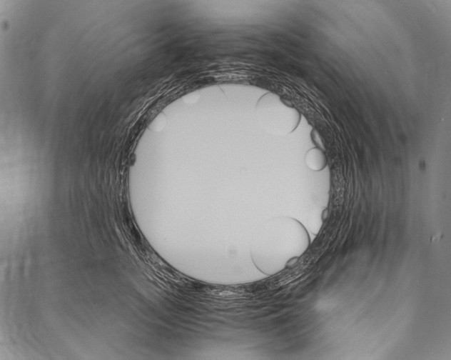 X0000087040755200705091110
