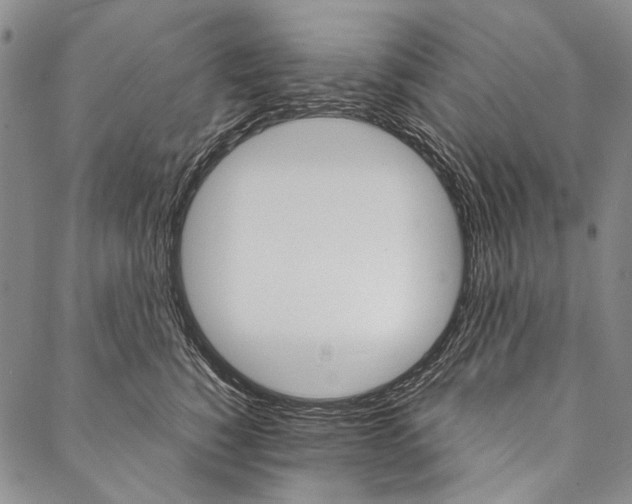X0000087040760200705091110