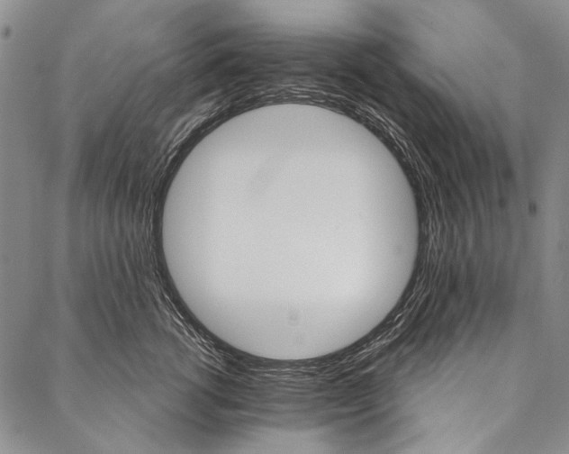X0000087040762200705091110