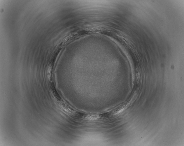 X0000087040767200705091111
