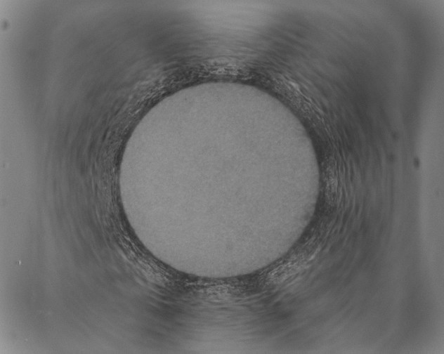 X0000087040769200705091110