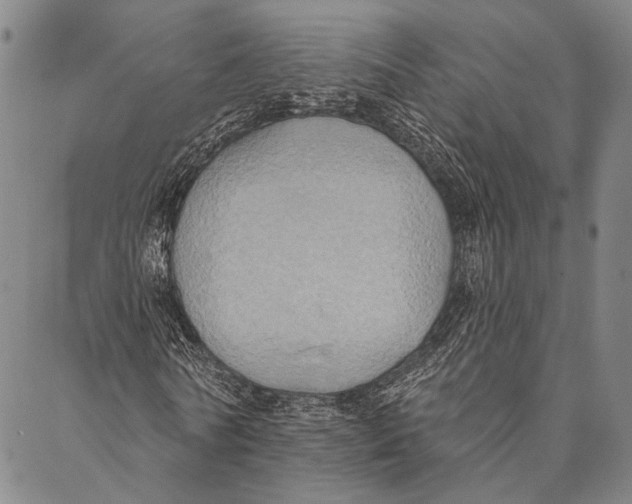 X0000087040770200705091110