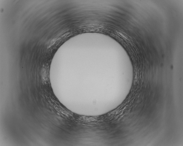 X0000087040774200705091110