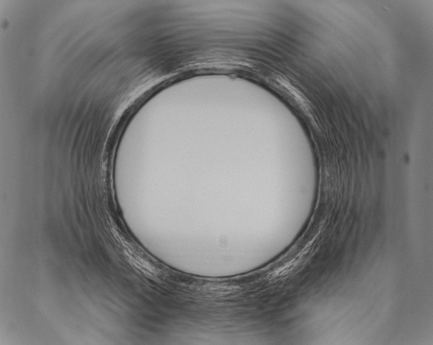 X0000087040779200705091110
