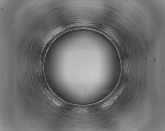 X0000087040781200705091110