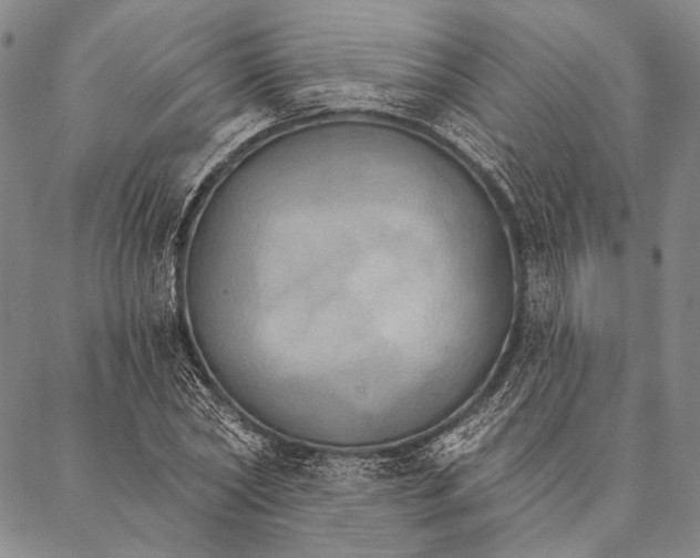 X0000087040782200705091110