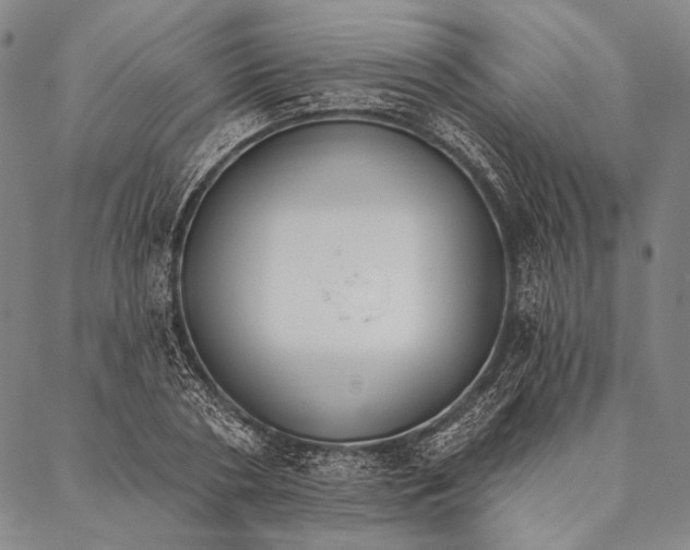 X0000087040786200705091110