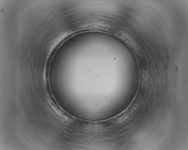 X0000087040788200705091109