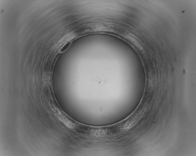 X0000087040793200705091109