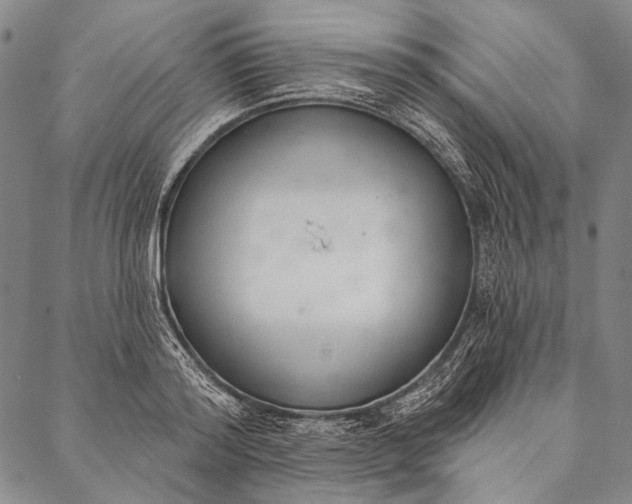 X0000087040796200705091109