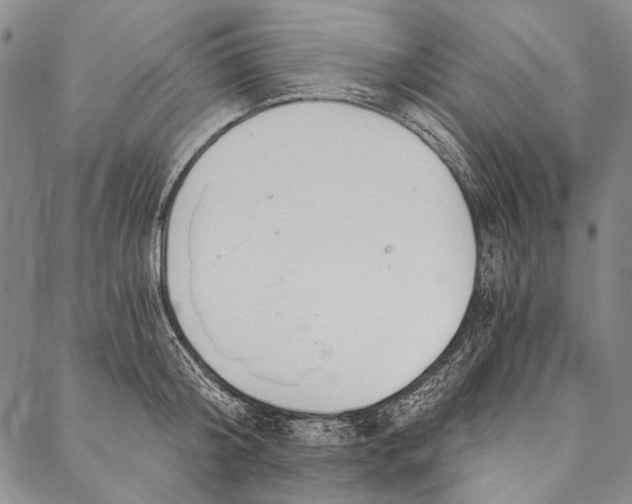 X0000087040804200705091109