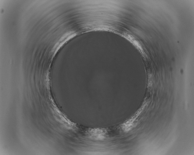X0000087040806200705091109