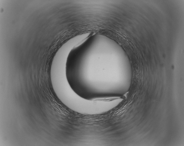 X0000087040818200705091108