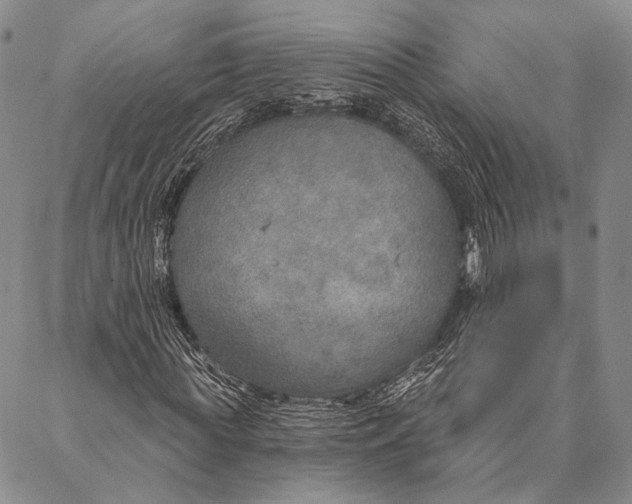 X0000087040819200705091108