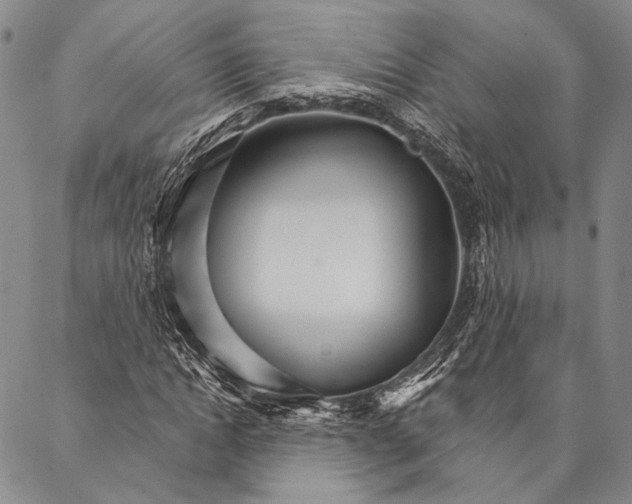 X0000087040822200705091108