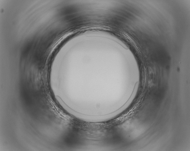 X0000087040828200705091108