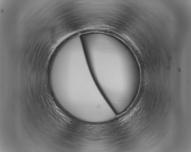 X0000087040830200705091108
