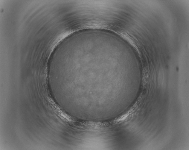X0000087040831200705091108