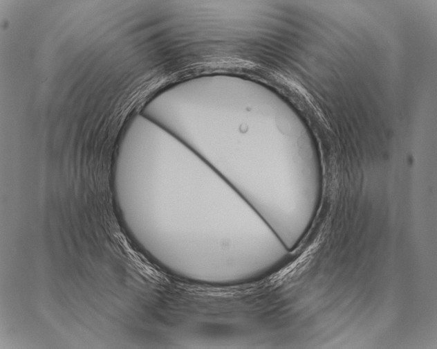 X0000087040833200705091109