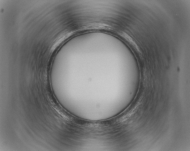 X0000087040834200705091109
