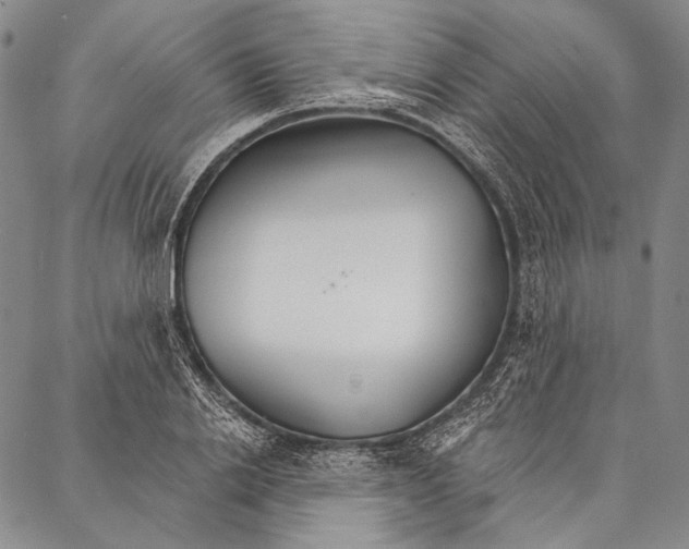 X0000087040838200705091109