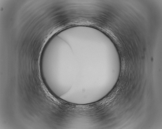 X0000087040840200705091109