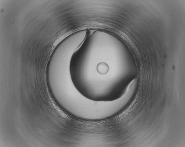 X0000087040842200705091109