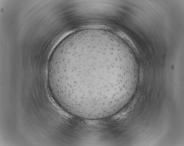X0000087040852200705091109
