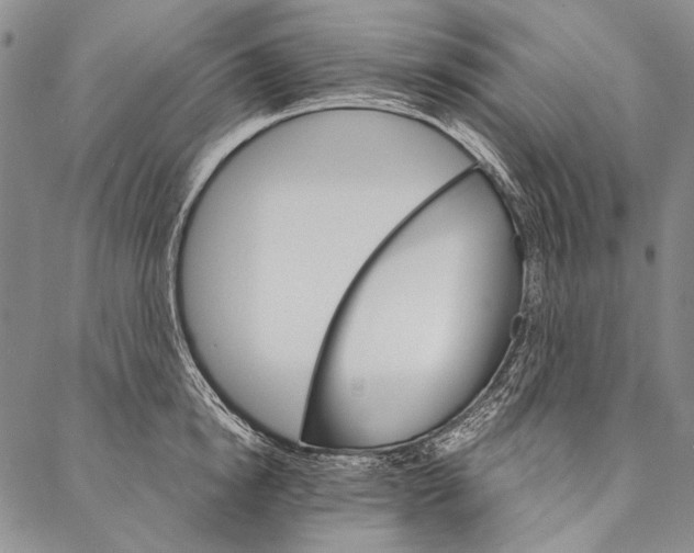 X0000087040854200705091109