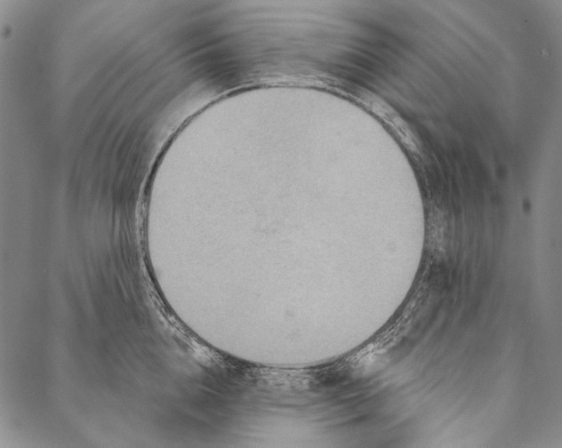 X0000087040856200705091109