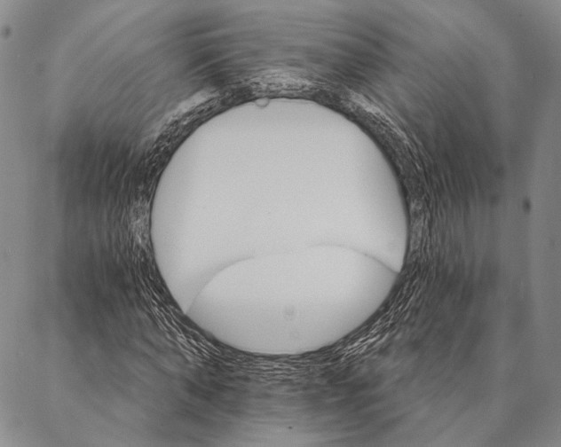 X0000087040870200705091108