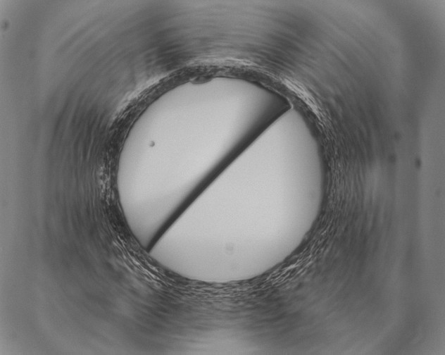 X0000087040872200705091108