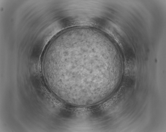 X0000087040883200705091108