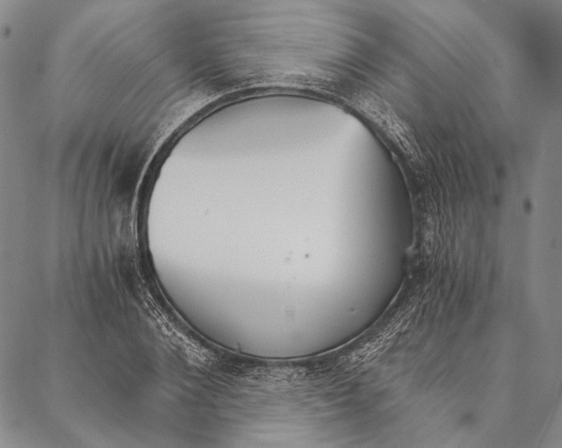 X0000087040884200705091108
