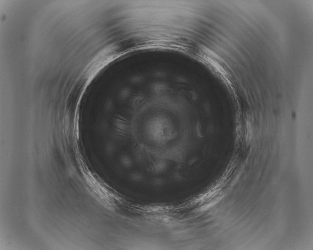 X0000087040892200705091108