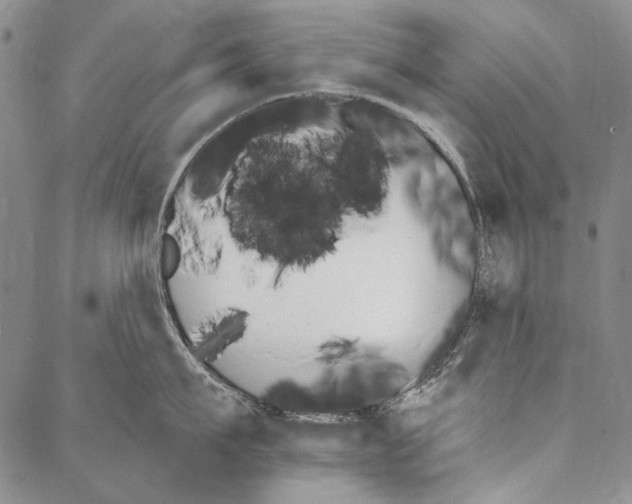 X0000087040911200705091108