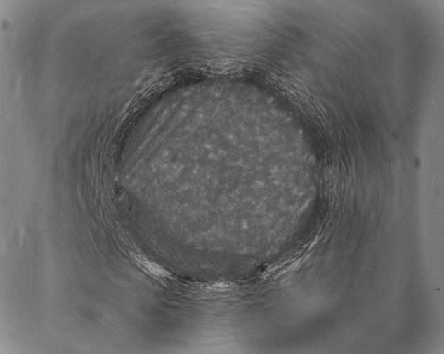 X0000087040913200705091107