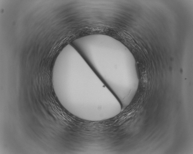X0000087040916200705091107