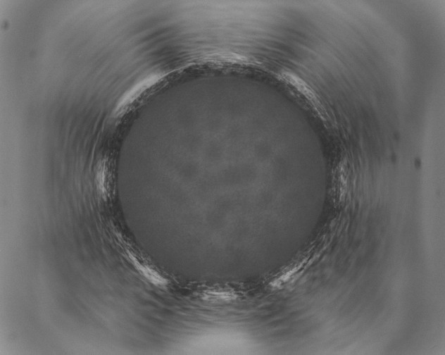 X0000087040919200705091107